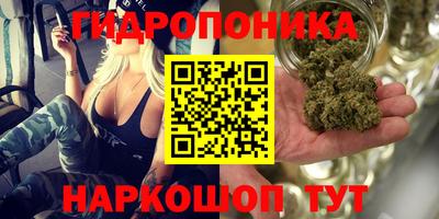 ГАЛЛЮЦИНОГЕННЫЕ ГРИБЫ Кинель