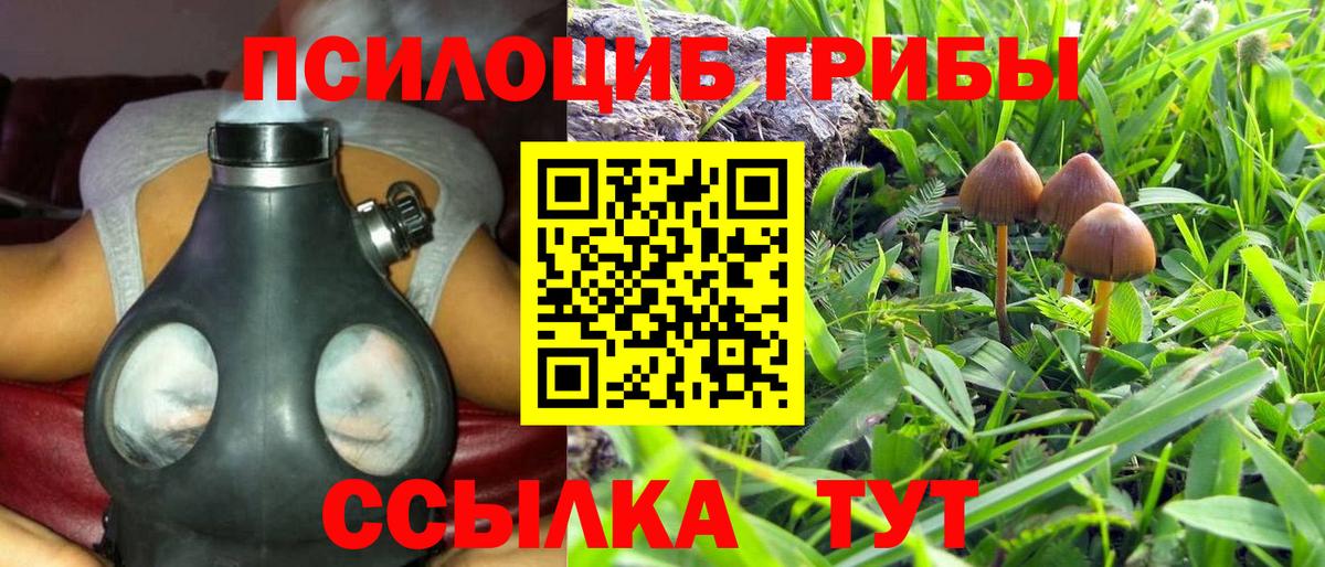Галлюциногенные грибы Psilocybine cubensis  магазин продажи наркотиков  Куйбышев  Вход с VPN 
